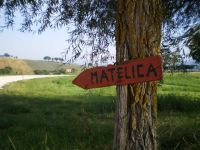 Matelica